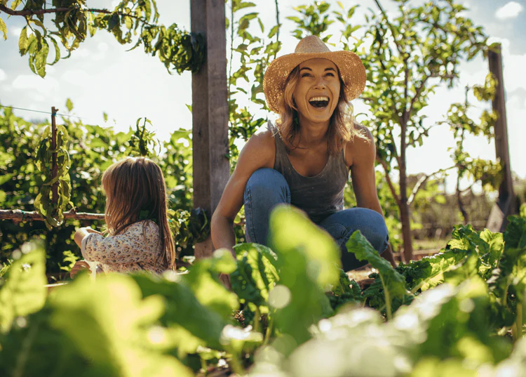 Can Citrus Bergamot Transform Your Health Naturally?